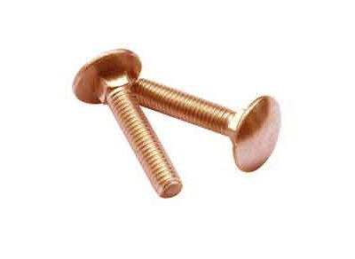ASTM B151 Copper Nickel 70/30 Carriage Bolts
